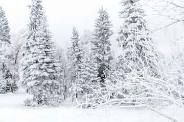 Winter landscape. Taganay national Park, Chelyabinsk region, South Ural, Russia