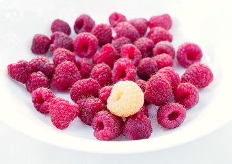 Red and yellow raspberry berries close up on a white plate
