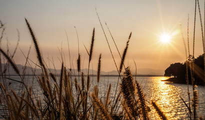 Fototapeta na wymiar Yellow grass under sunrise and long bay colorful.