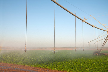 Watering with a moving line