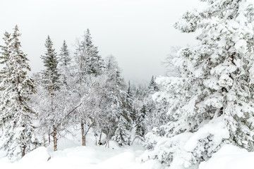 Winter landscape. Taganay national Park, Chelyabinsk region, South Ural, Russia