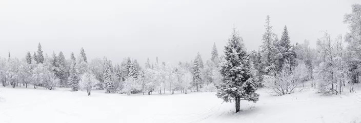 Fotobehang Winterlandschap. Nationaal Park Taganay, regio Chelyabinsk, Zuid-Oeral, Rusland © Anton Buymov