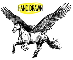 Pegasus. A horse with big wings runs. Drawn by hand.