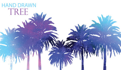 Palma. A set of images in vintage style. Drawing by hand with a pencil. Tropical plants.