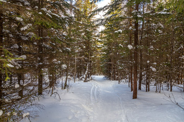 Winter landscape. Taganay national Park, Chelyabinsk region, South Ural, Russia