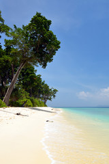 Lakshmanpur beach at Neil Island of the Andaman and Nicobar Islands, India