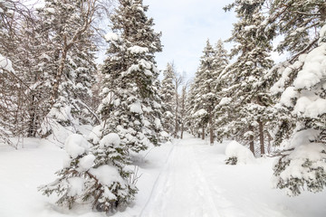 Winter landscape. Taganay national Park, Chelyabinsk region, South Ural, Russia