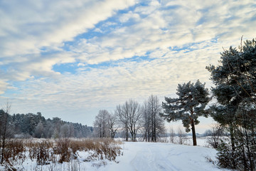 Winter landscape with snowy road, trees and blue sky with white clouds