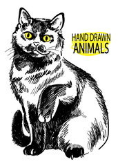 Obraz premium British cat. Cat sits having lifted a paw. Vector freehand drawing.