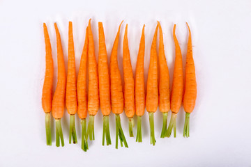 Baby carrots in a row isolated on a white background