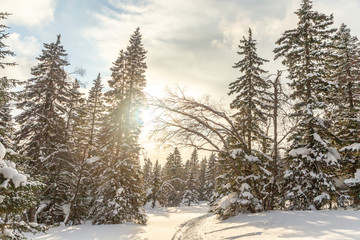 Winter landscape. Taganay national Park, Chelyabinsk region, South Ural, Russia