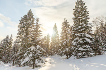 Winter landscape. Taganay national Park, Chelyabinsk region, South Ural, Russia