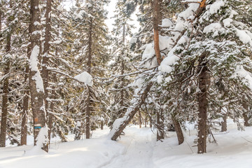 Winter landscape. Taganay national Park, Chelyabinsk region, South Ural, Russia