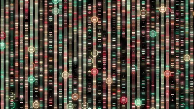 human chromosome DNA sequencing analysis visualization