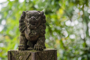 Lion stone statue in QingChengShan, Sichuan Province, China