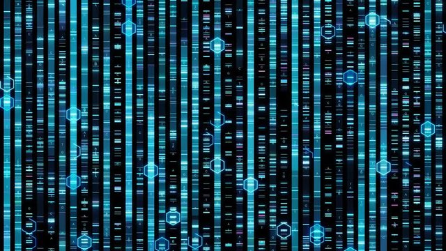 DNA sequencing mapping working out the order of the bases