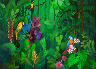 Tropical Rain Forest  with colorful birds in vector illustration