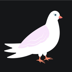 Cute dove, bird, art, vector illustration