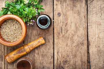 Fresh and dried oregano herb
