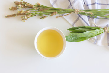 A cup of herbal tea against cough with fresh ribwort plantain leaves.Hebal medicine. Minimalism. Beautiful spring wildflowers . Edible ,healthy .
