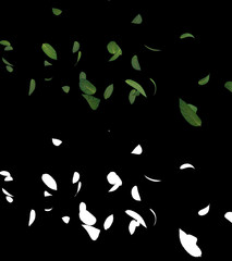 3D illustration of a mint leaves flow with alpha layer