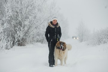 Cheerful young woman having fun with caucasian shepherd dogs on snow-covered field in frosty winter day.