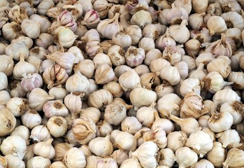 Large heap of garlics. Food background and texture