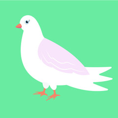 Cute dove, bird, art, vector illustration