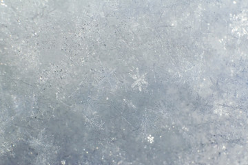 Macro close up from a snowflake in natural surroundings