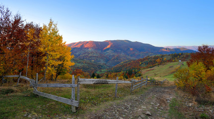 Beautiful autumn mountain landscape in the morning light with bright hills. Carpathian, Ukraine, Europe