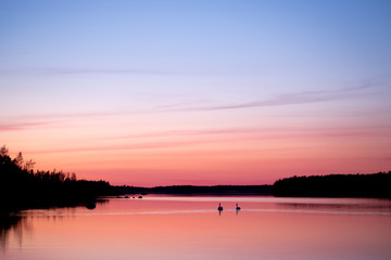 sunset over lake with swans