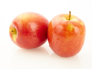 red apples on white background