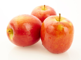 red apples on white background