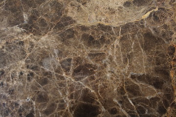 Fototapeta na wymiar Brown marble skin