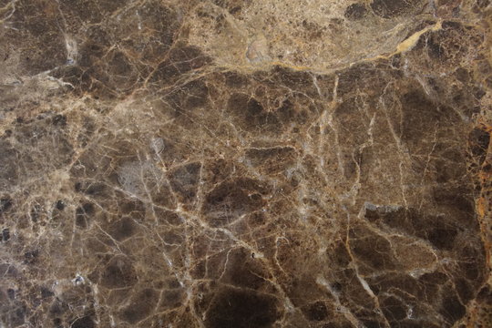 Brown marble skin