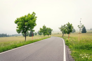 Empty road in the middle of Sumava mountains, green trees alley with thick fog in the background, Horska Kvilda, Czech Republic, cloudy summer day, wanderlust concept