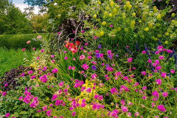 flowers in the garden central park