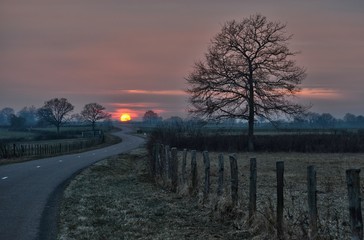 une route de campagne avec un coucher de soleil
