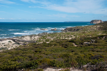 Kangaroo Island Australia, view along coastline at Seal Bay with seals lying on beach