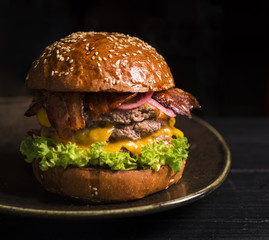 Close-up tasty double burger filled with lettuce