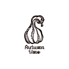Autumn hand drawn pumpkin with lettering isolated on white