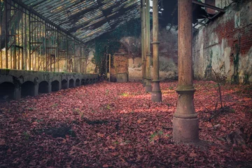 Papier Peint photo Lavable Vieux bâtiments abandonnés Croatie, Donji Miholjac, 11.2018. - Ancienne serre abandonnée avec sol recouvert de feuilles