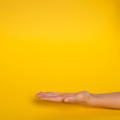 Hand facing up with copy space