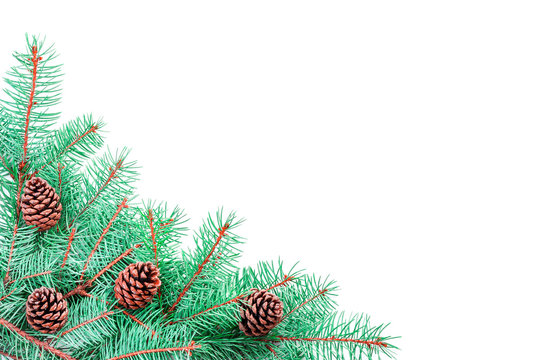 Top view on green fluffy Christmas tree branches and four beautiful pine cones in the corner of the picture with empty place for text isolated on white background