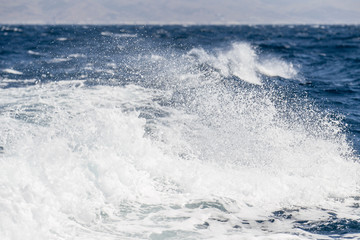 Waves with foaming spray crown on the sea
