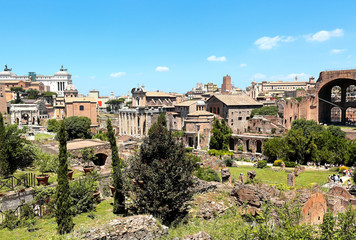 Fototapeta na wymiar Roman Forum as seen from the Palatine Hill on a bright summer's day.