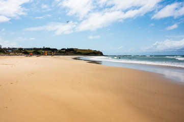 Surf Patrol