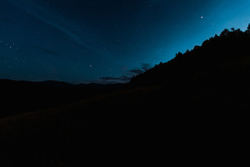 Fototapeta na wymiar sky with shining stars near trees at night