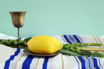 Jewish festival of Sukkot. Traditional symbols (The four species): Etrog, lulav, hadas, arava