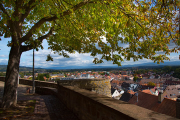 Blick auf Breisach im Kaiserstuhl